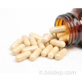 Capsule di potenziatore di probiotici salutari Lactobacillus Johnsonii